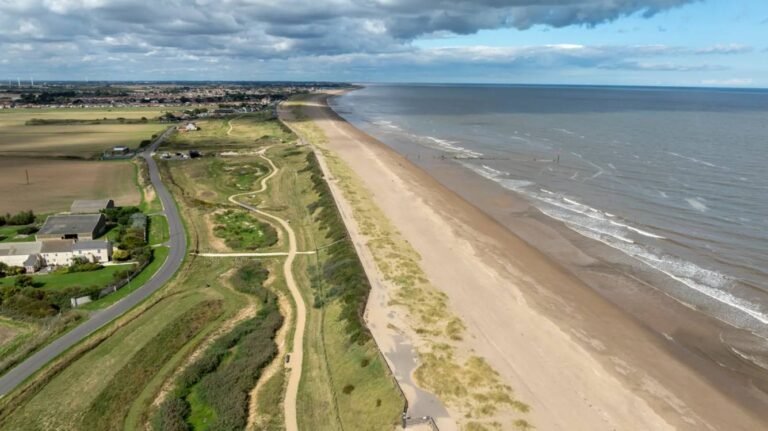 Coastal Golf Course Turned into Vital Wetland Habitat for Seabirds