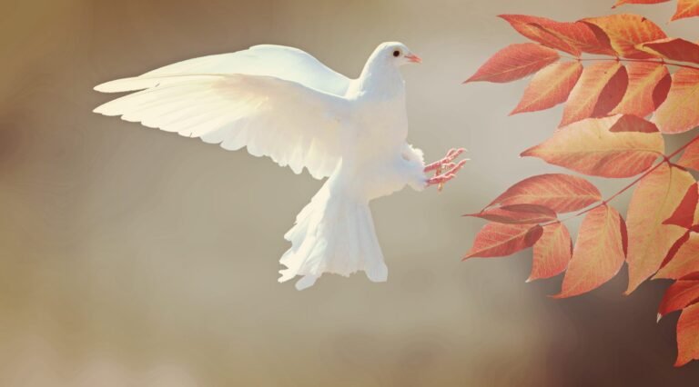 Hatred Destroys But Kindness Heals Hatred Destroys But Kindness Heals