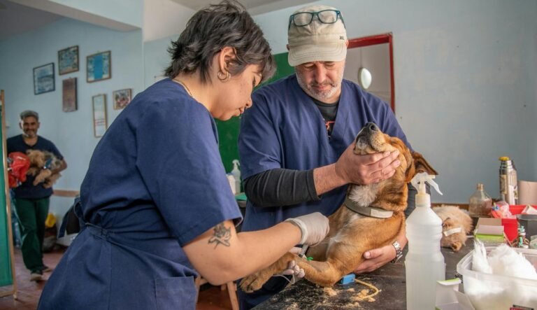 Historic Philanthropic Gift Will Expand Veterinary Care Access to Millions of Americans and Their Pets Historic Philanthropic Gift Will Expand Veterinary Care Access to Millions of Americans and Their Pets