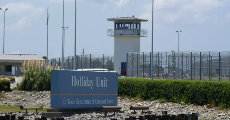 ‘Lionesses’ won air conditioning for Texas prisons Search