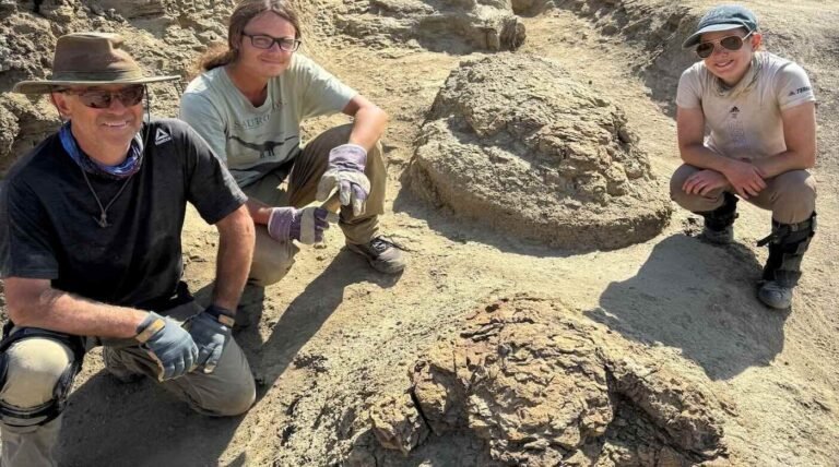 Massive Footprints Reveal First Ever Adult T Rex Trackway, a 66-Million-Year-old Walk in North Dakota