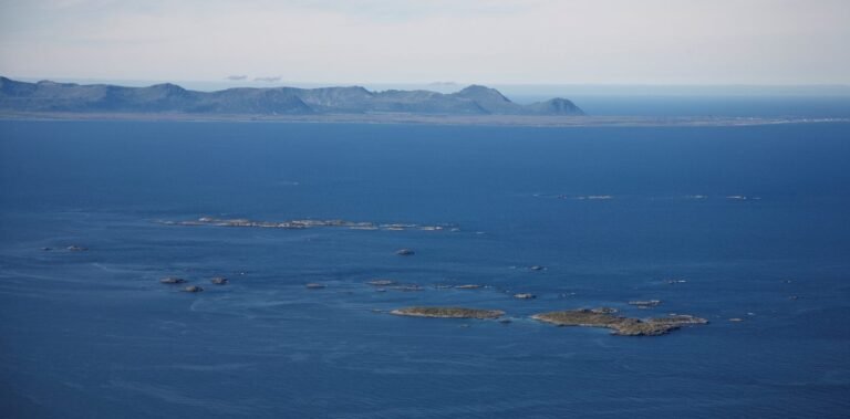 Norway’s Newest Marine Protected Area Shelters Rich Marine Habitat, Whales, and Seabirds Norway's Newest Marine Protected Area Shelters Rich Marine Habitat, Whales, and Seabirds