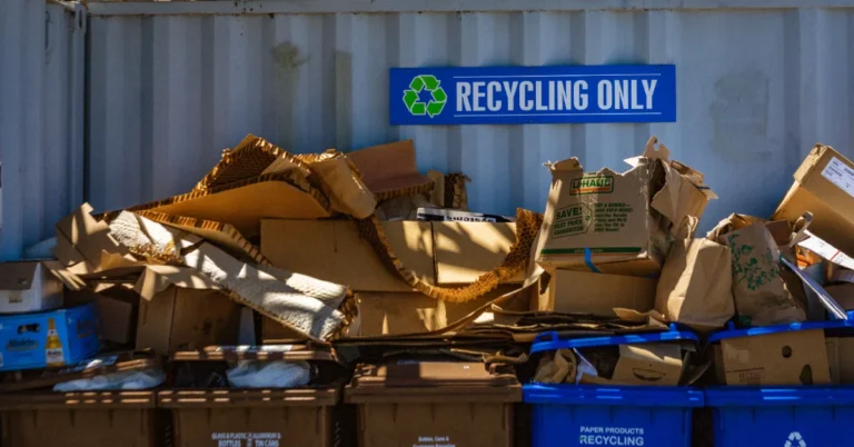 One way to get people to recycle more? Collect their garbage less Search