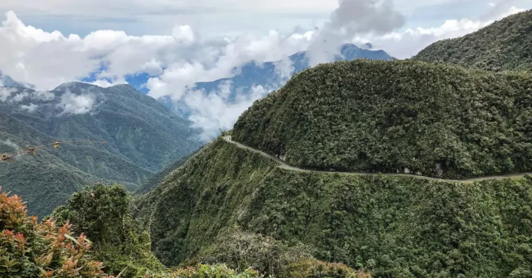 Scientists discovered a new cat species in Bolivia Search
