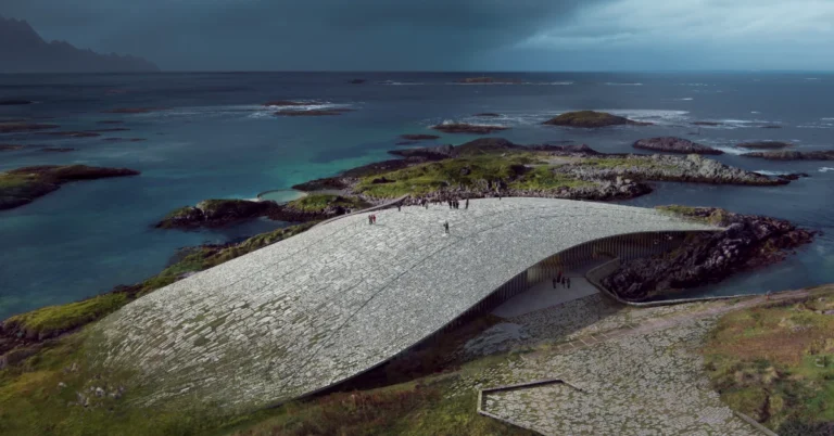 ‘The Whale’ museum offers immersive look into life under the sea Search