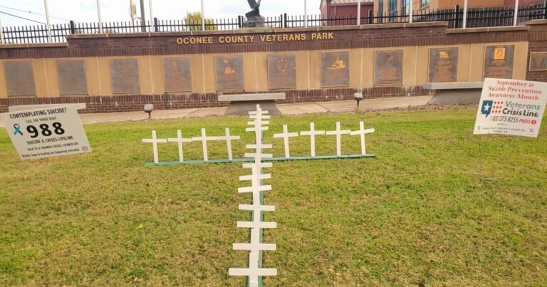 Veterans group places crosses for suicide prevention awareness