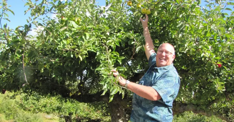 A retired FBI agent’s latest mystery: Lost apples Search