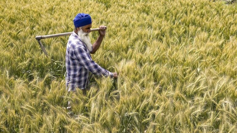 Building an El Niño-resilient Indian agriculture is imperative to safeguard food security Building an El Niño-resilient Indian agriculture is imperative to safeguard food security