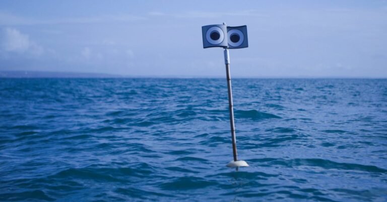 Googly-eyed buoys and kites help keep seabirds out of fishing nets Search