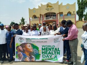 Mental health workforce shortage threatens access to psychiatric care – Experts Mental health workforce shortage threatens access to psychiatric care – Experts