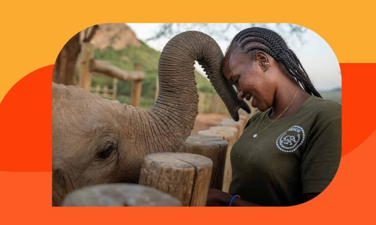 The women putting community at the heart of elephant conservation The women putting community at the heart of elephant conservation