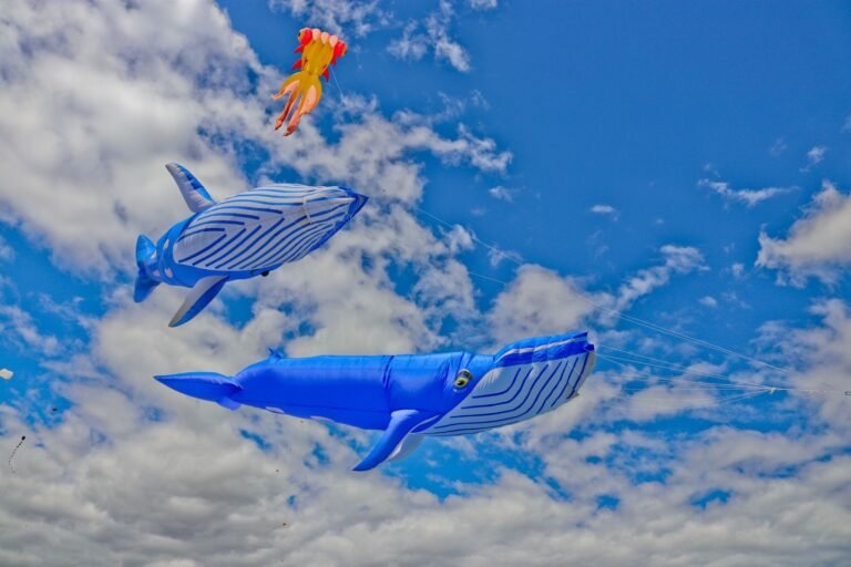 This is Your Invite to Colour the Sky this Mental Health Month Cape Town International Kite Festival