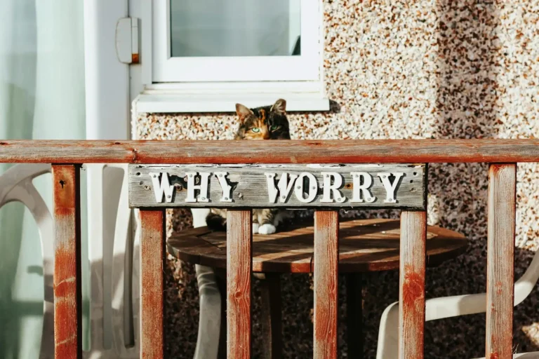 Why Do We Worry? Root Causes & 6 Practices to Stop Worrying Why Do We Worry? Root Causes & 6 Practices to Stop Worrying