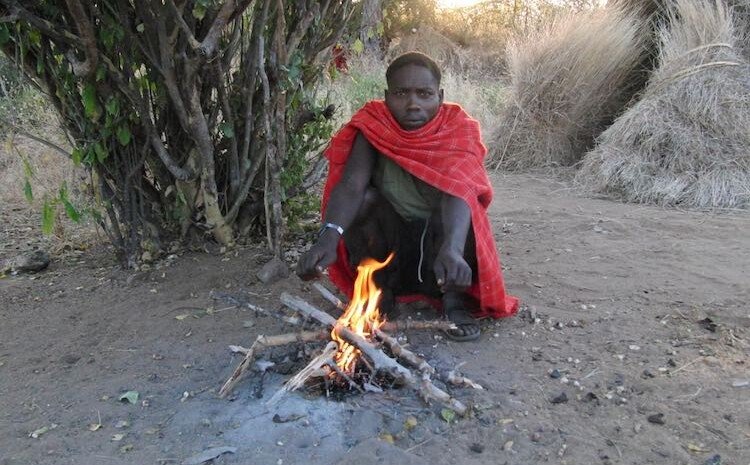 Why? and What Can We Learn from Them? Why? and What Can We Learn from Them?
